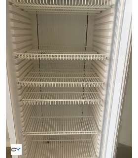 EXPOSITOR VERTICAL MOVILFRIT