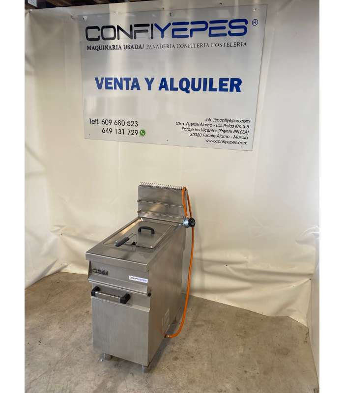 FREIDORA A GAS UN SENO REPAGAS