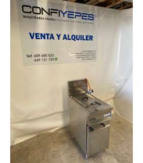 FREIDORA A GAS UN SENO REPAGAS